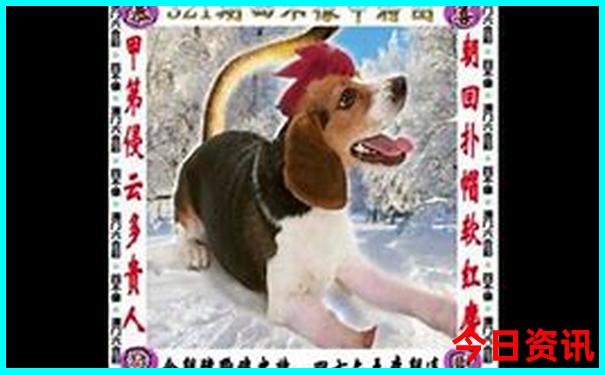 8月份去哪旅游不热